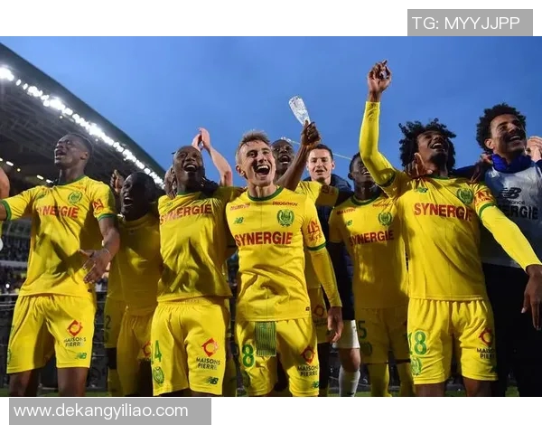 尼斯与南特最新比赛数据分析及战绩对比